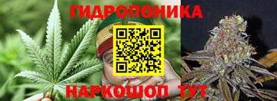 дмт Будённовск