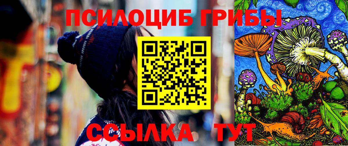купить  цена  Вход с VPN  Псилоцибиновые грибы Magic Shrooms  Новошахтинск  Псилоцибиновые грибы Psilocybe 